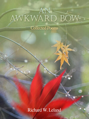 cover image of An Awkward Bow